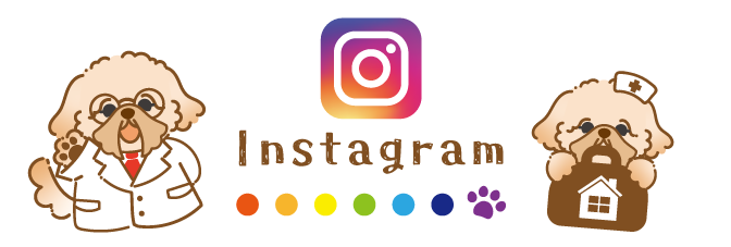 インスタバナー